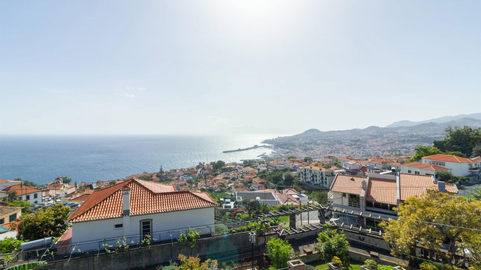 M667 View on Funchal